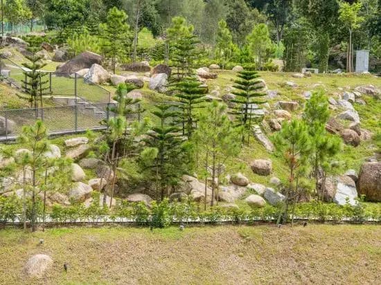 Enclave Nature Suites Bukit Tinggi by BYON - photo 7