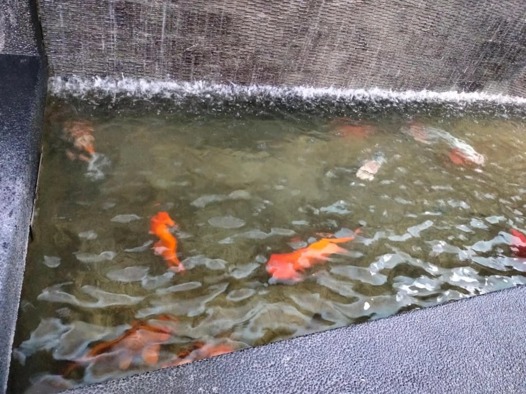 Cyberjaya Shaftesbury 2 - photo 13
