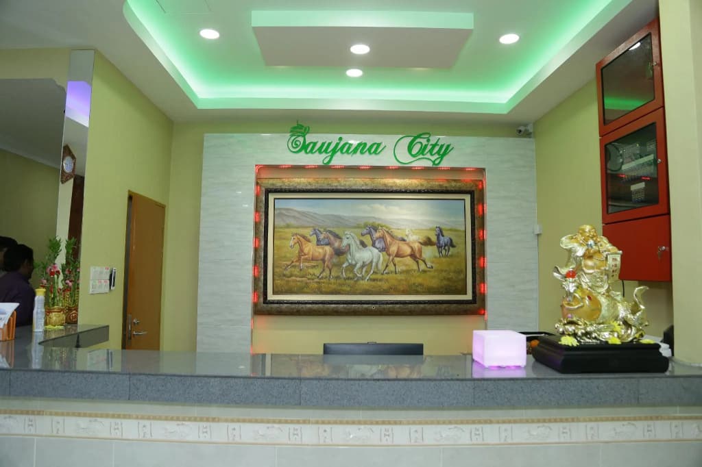 Saujana City Hotel - photo 13