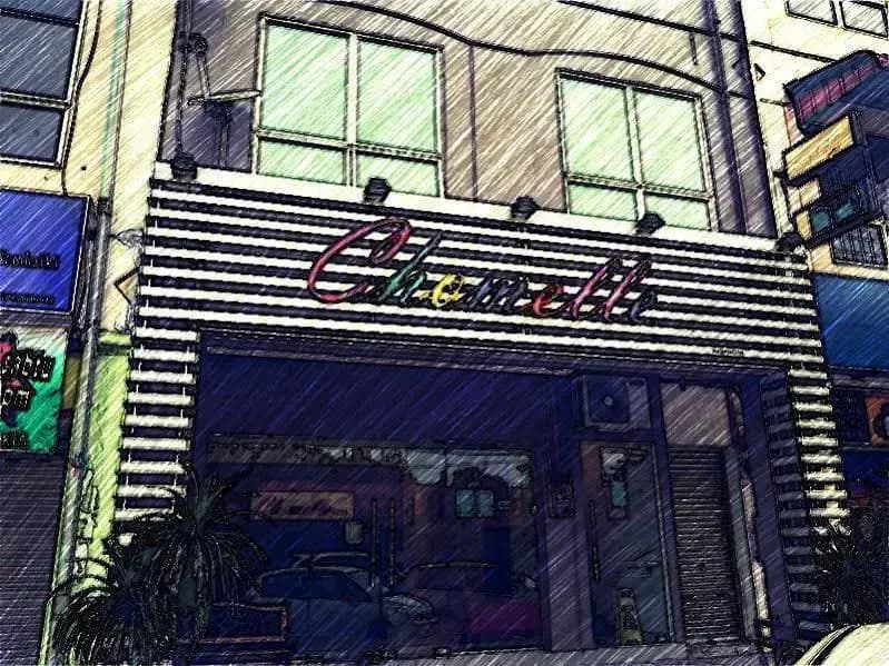 Chomelle Hotel - photo 1