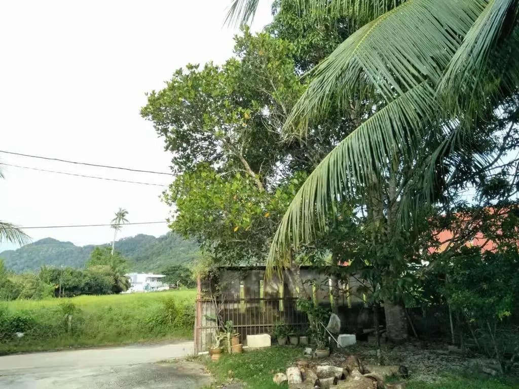 Motel Kampung Kuah - photo 8
