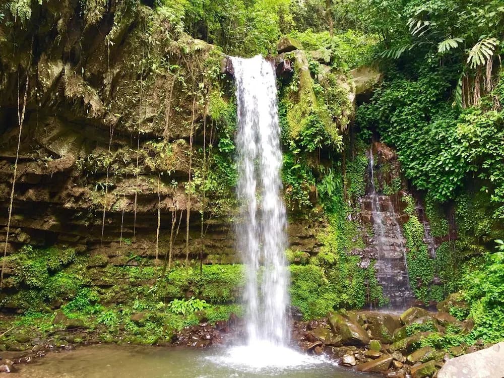 Borneo Kiim Resort - photo 7