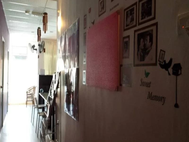 Sekai Guesthouse and Backpackers - photo 1