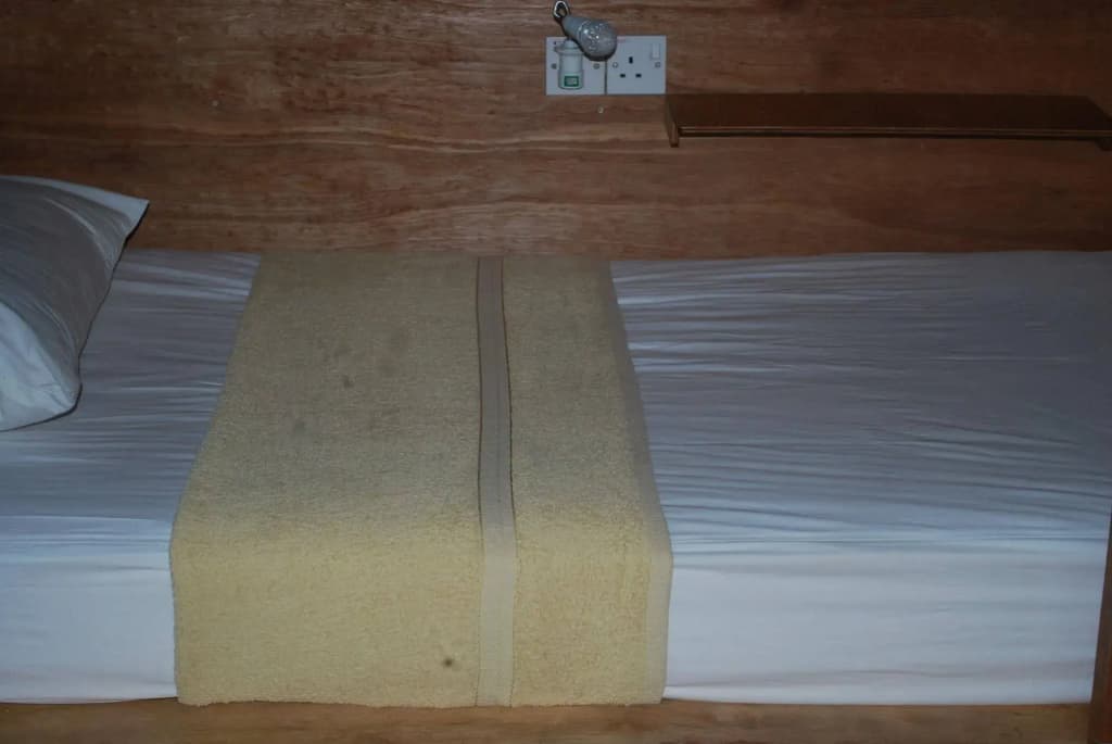 Gibbon Guesthouse - photo 4