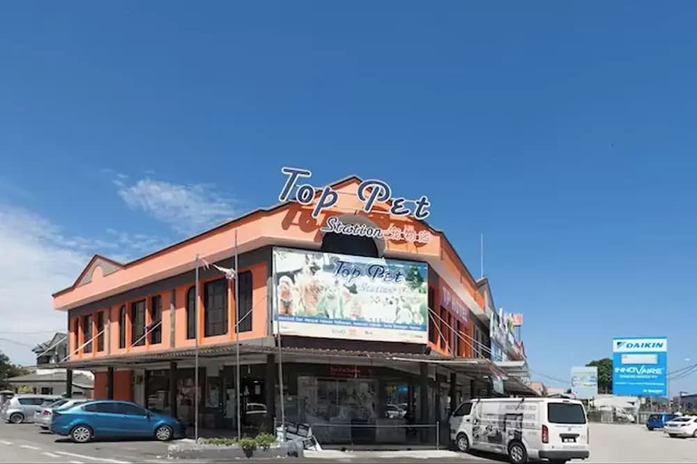 T P Hotel - photo 1