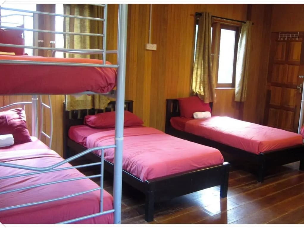 The Roots Eco Resort - photo 2