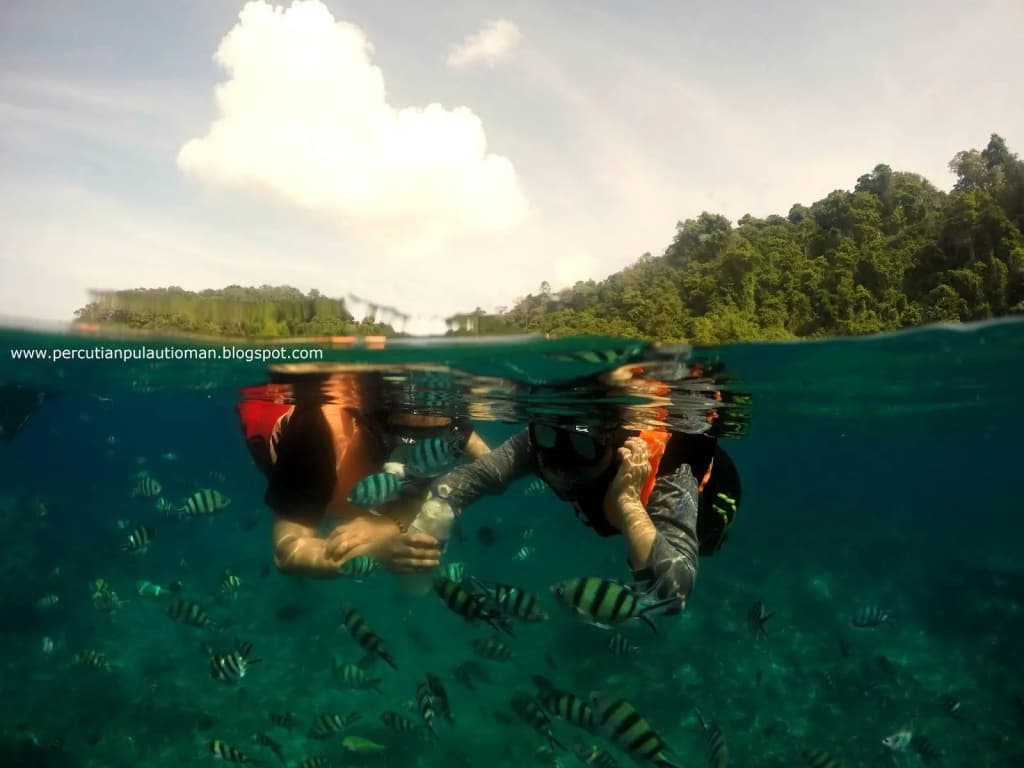 Marina Bay Resort & Restaurant Tioman - photo 24