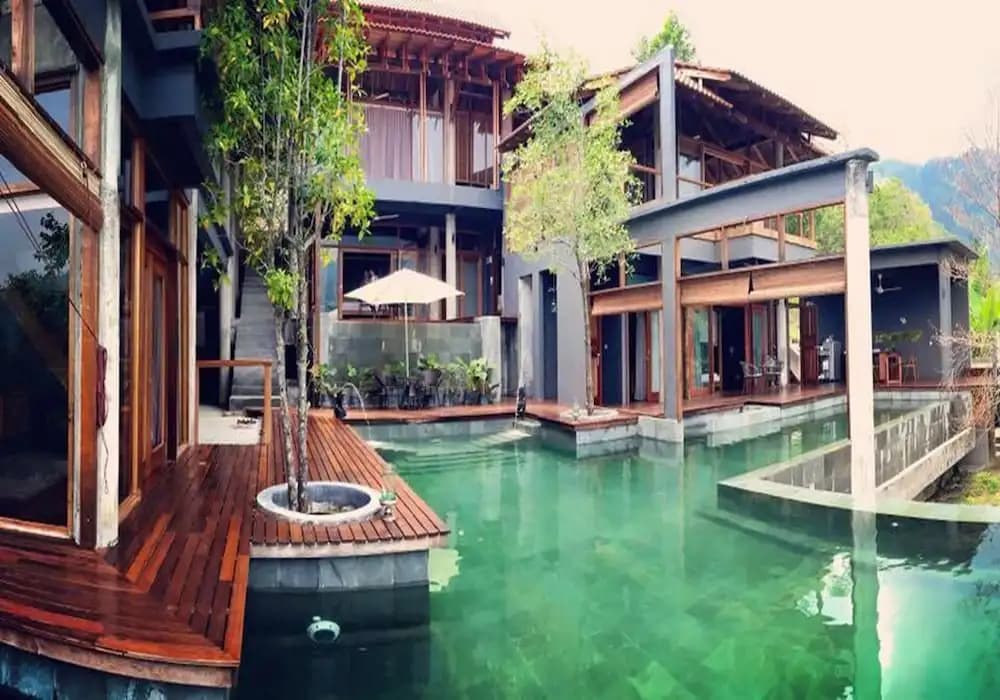The Shorea - photo 11