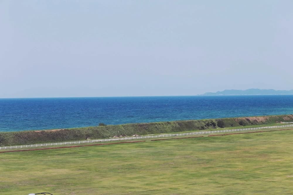 The Regency Waterfront Hotel - photo 21