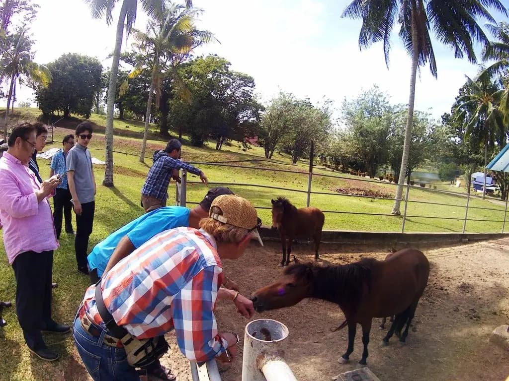 MTFF Farm Stay - photo 11
