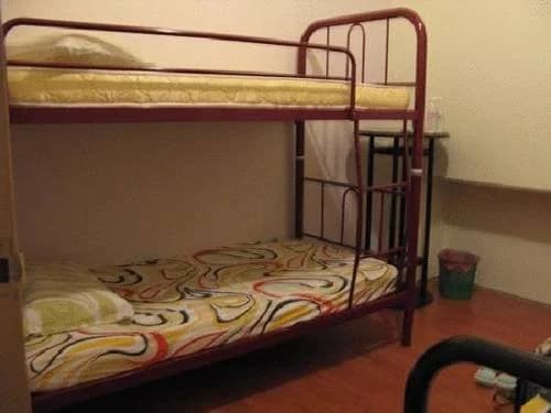 Minda Guesthouse - photo 2