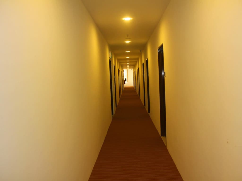 906 Premier Hotel - photo 11