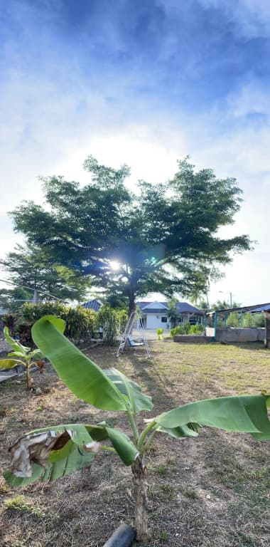 wans homestay (farmhouse) - photo 24