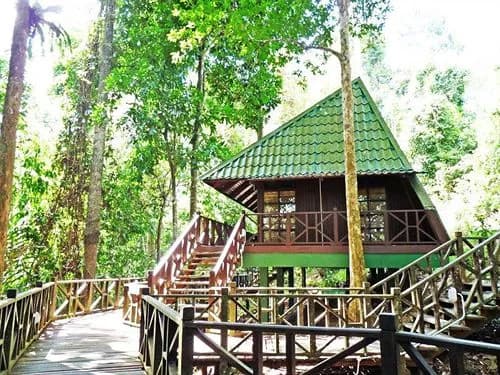 Tabin Wildlife Resort - photo 13