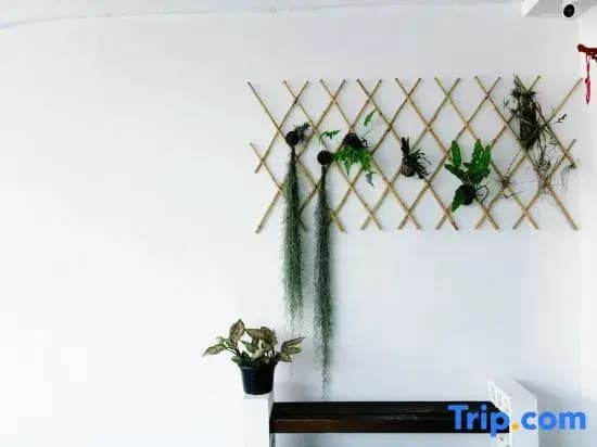 leisurecorner 25 - photo 2