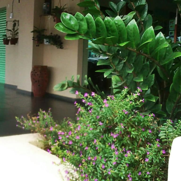 The Fern Lodge (Sanitized Stay) - photo 16