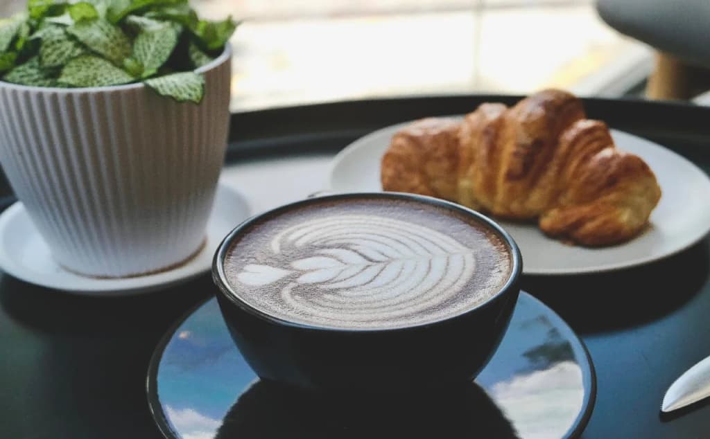 Tropics Eight Suites - photo 14
