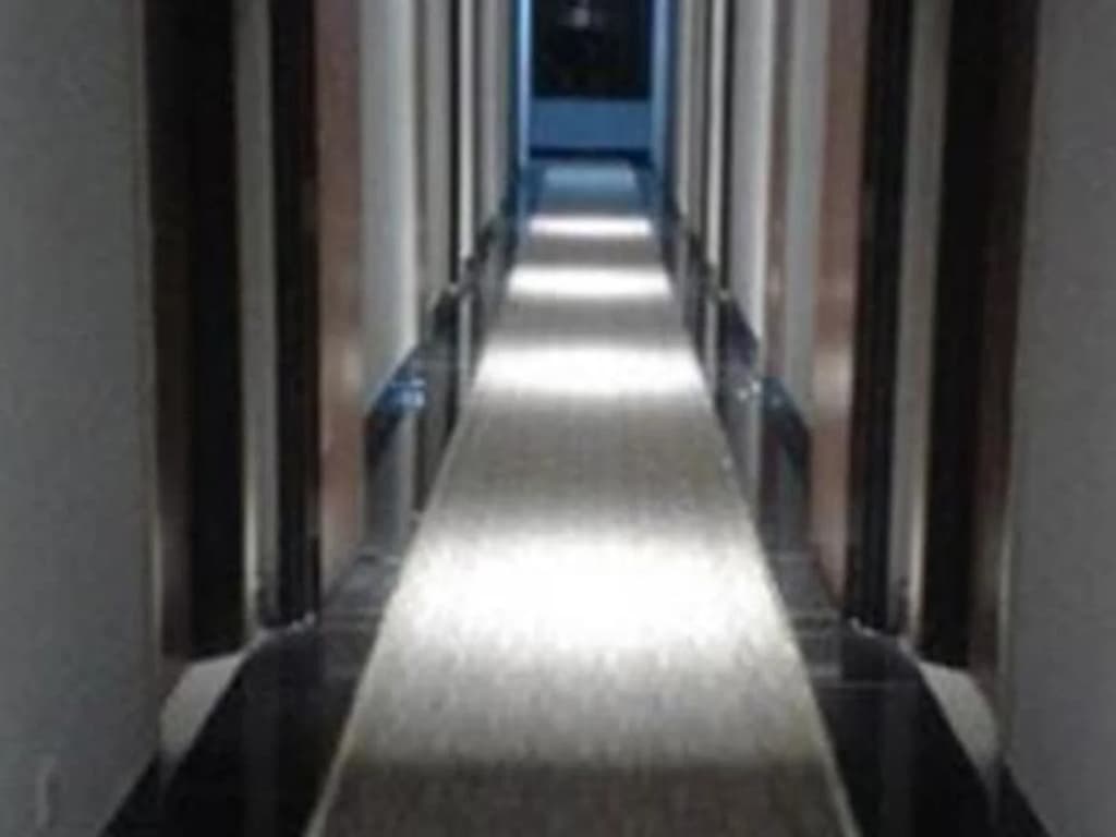 Seri Simanggang Hotel - photo 12