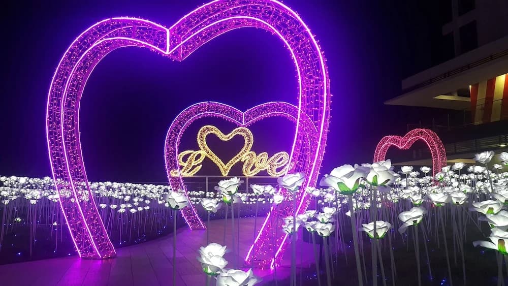 I-City, I-SoHo by HostAssist - photo 22