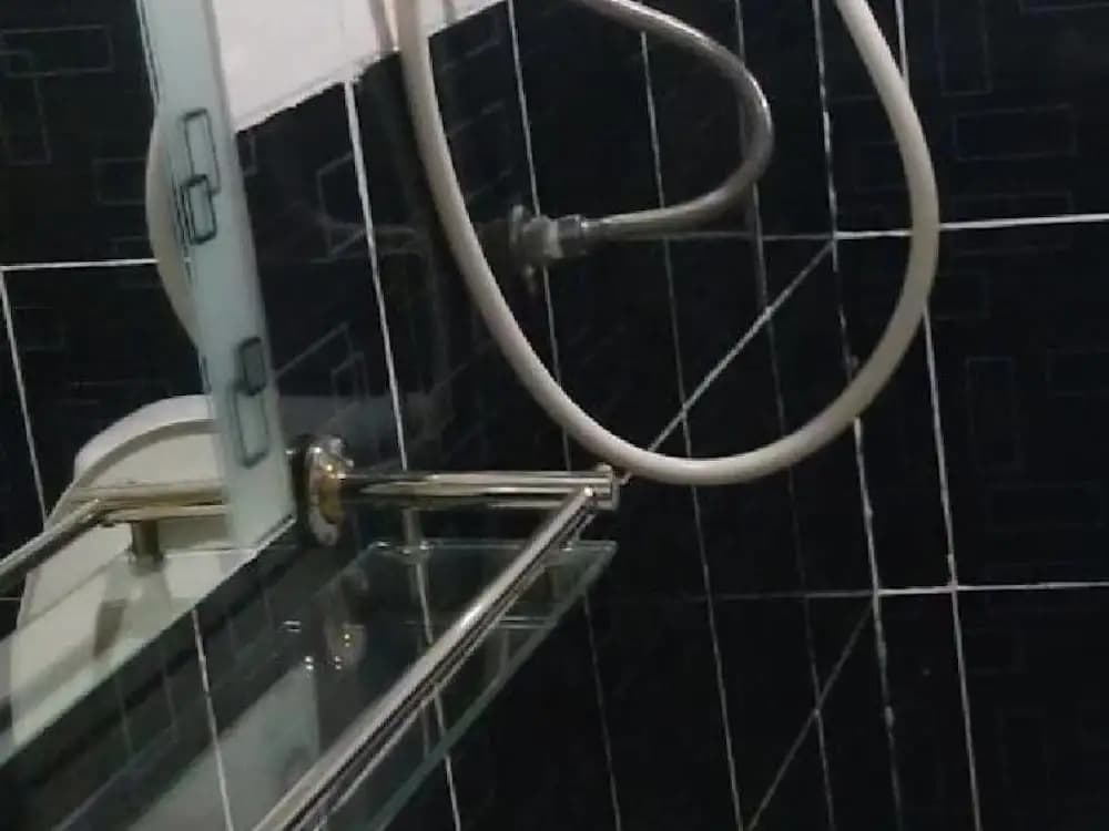 New Wave Vines Hotel - photo 7
