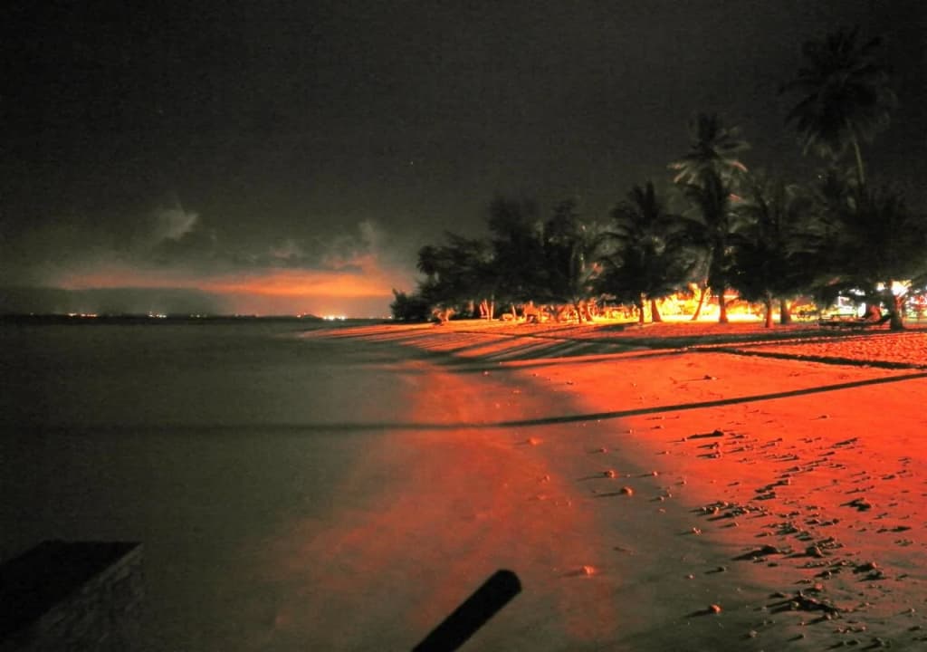 Bayu Lestari Island Resort - photo 11