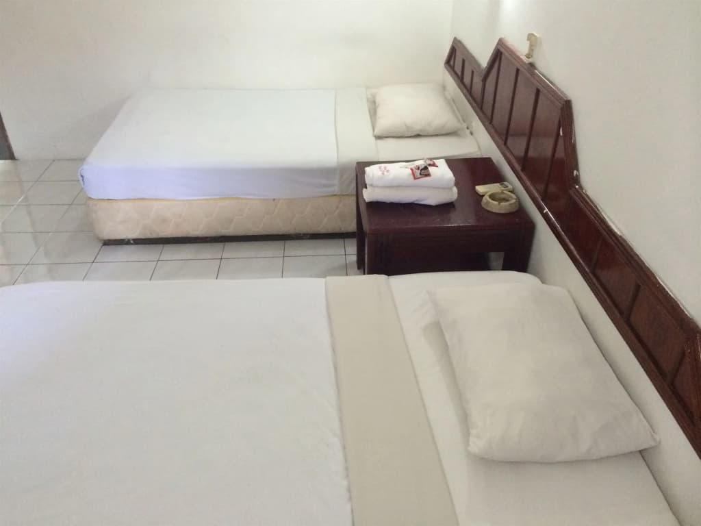 Palace Inn - photo 6