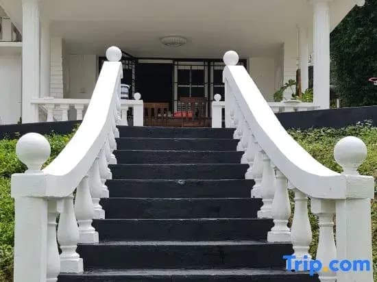 Treebridge House - photo 17