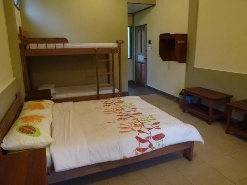 Sepilok B&B - photo 4