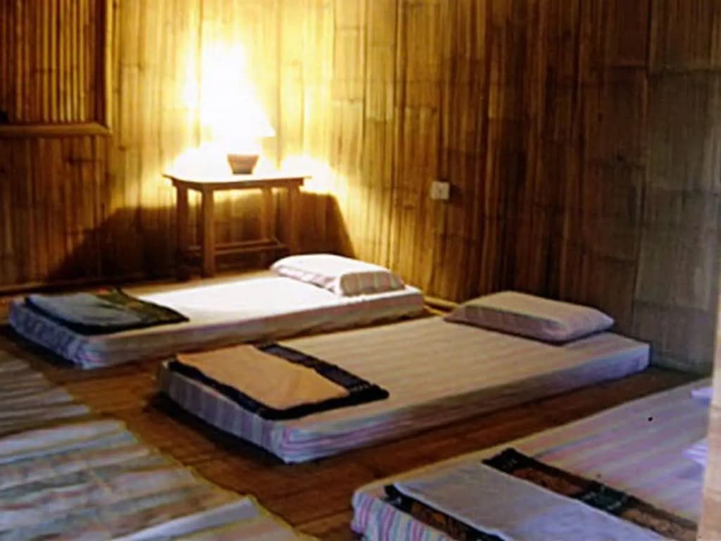 Borneo Proboscis River Lodge - photo 8