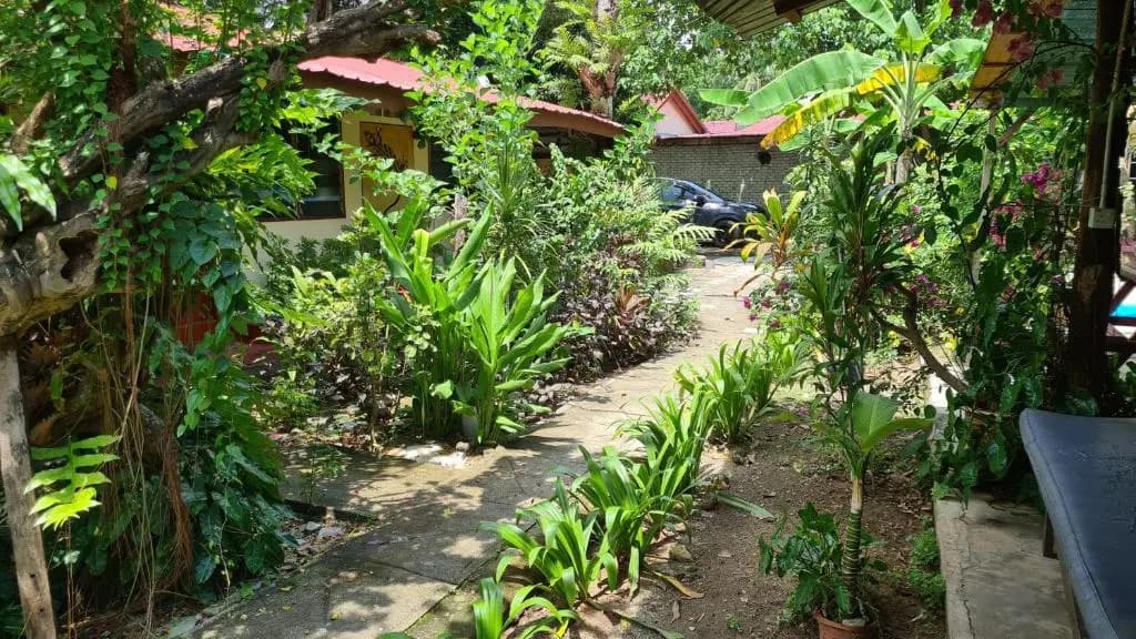 Gecko Guesthouse Langkawi - photo 1