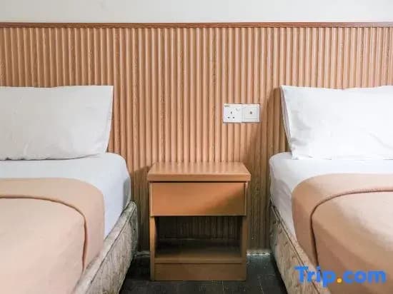 Impress Star Hotel - photo 2