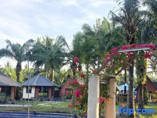 Nature Resort - photo 7