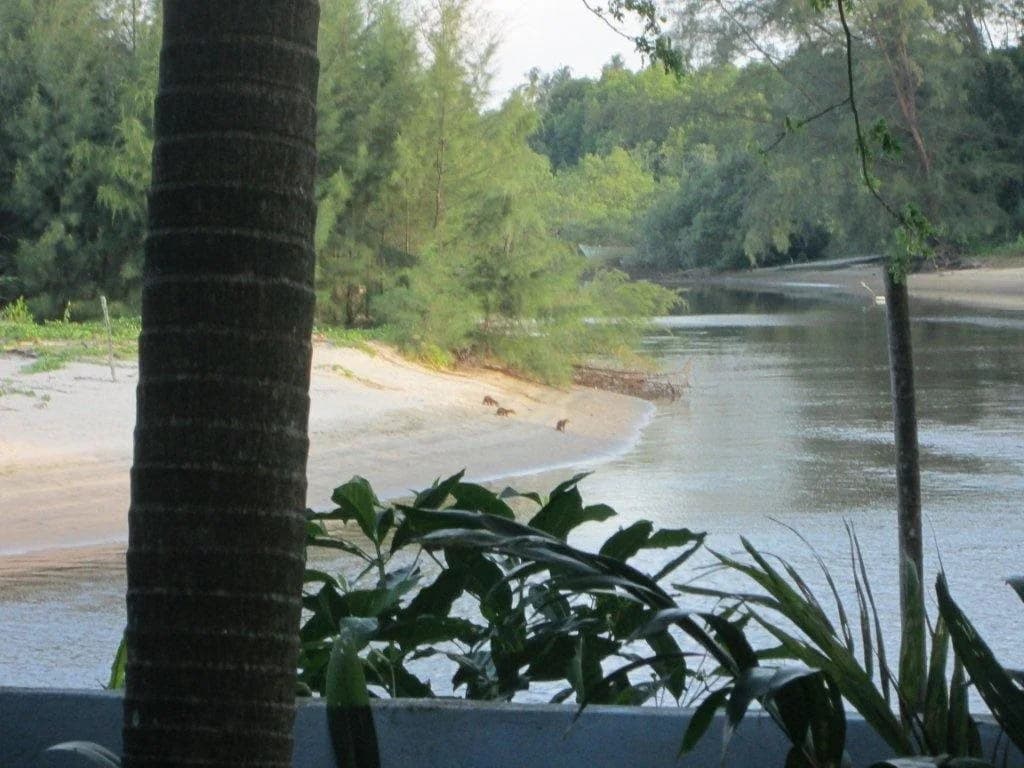 Sanctuary Resort - photo 20