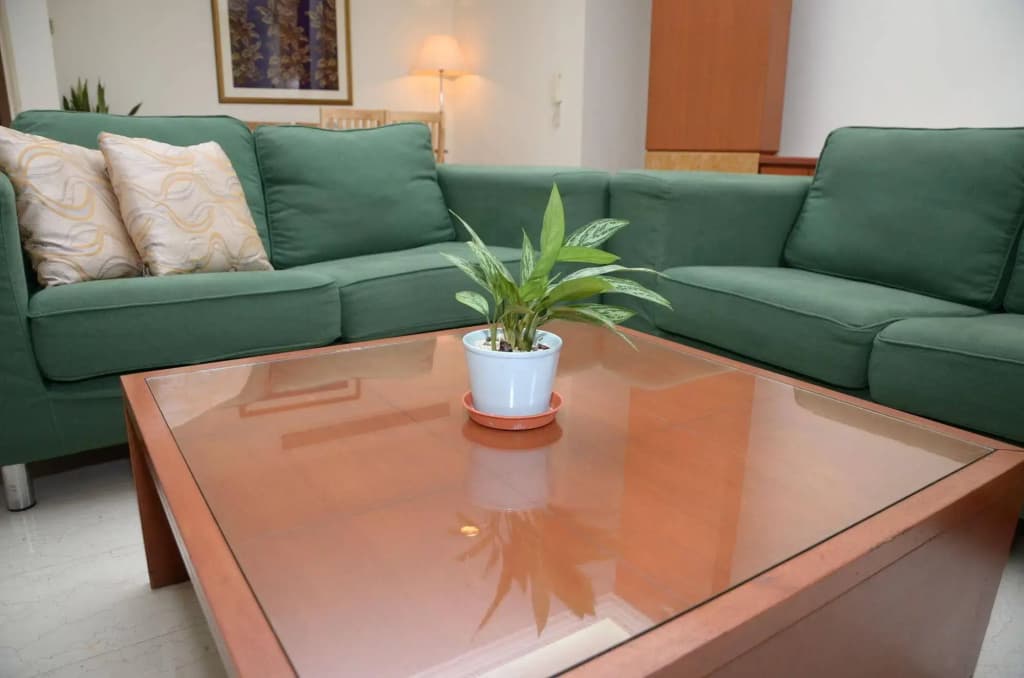 The Maple Suite - photo 14