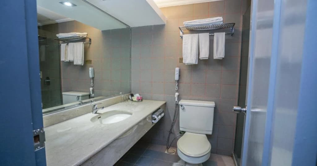 Kingwood Hotel - photo 7