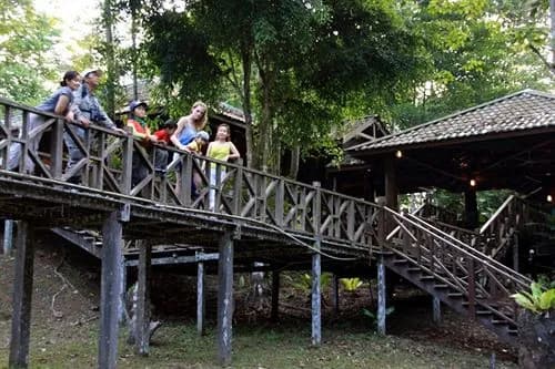 Tabin Wildlife Resort - photo 4