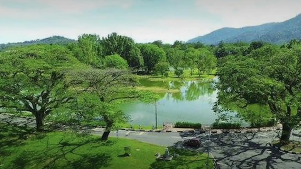 Taiping Rain Town Homestay太平雨城名宿 two car park - photo 27