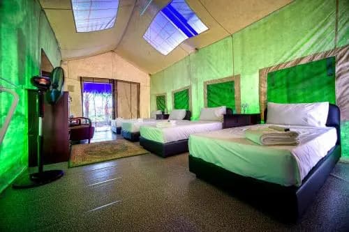 Orchard Wellness Safari Suites - photo 2