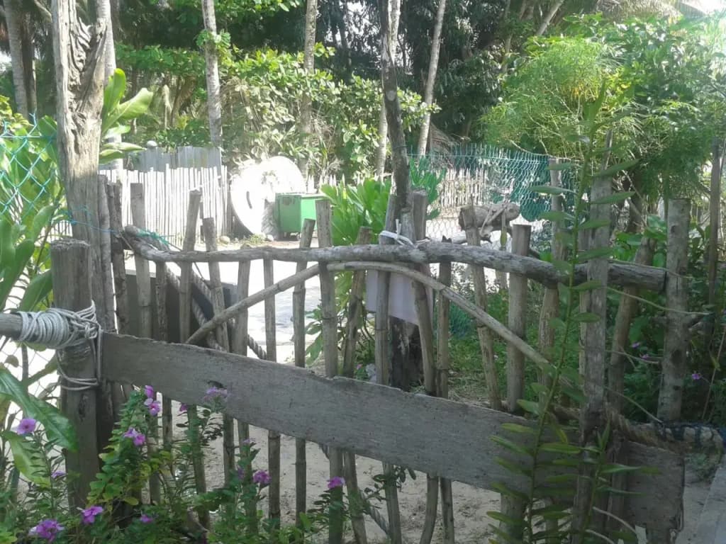 Pandan Beach Homestay - photo 14