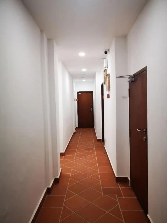 Mclane Boutique Hotel - photo 13