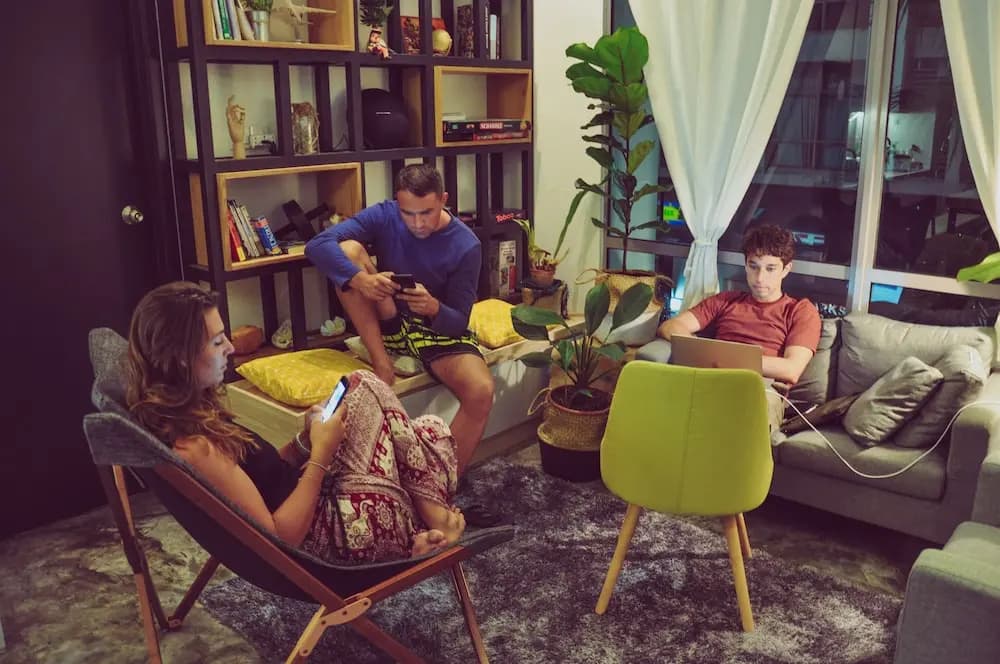 Zoku Lifestyle - photo 17