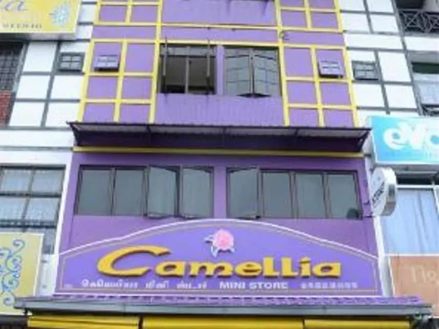 Camellia Budget Inn - photo 1
