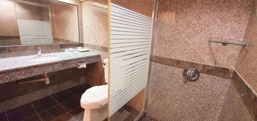 Kemena Plaza Hotel - photo 8