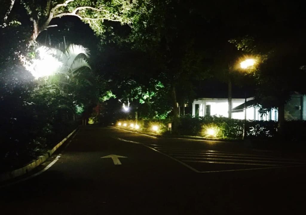 Langkawi Lagoon Resort - photo 14