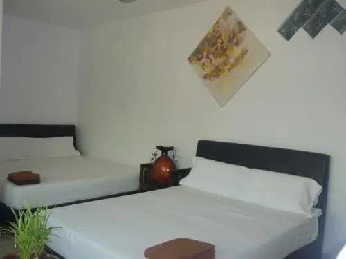 Hotel Paka INN - photo 5
