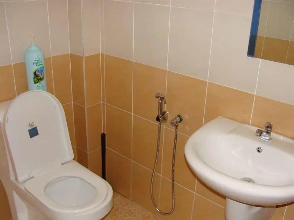 White House Homestay - photo 10