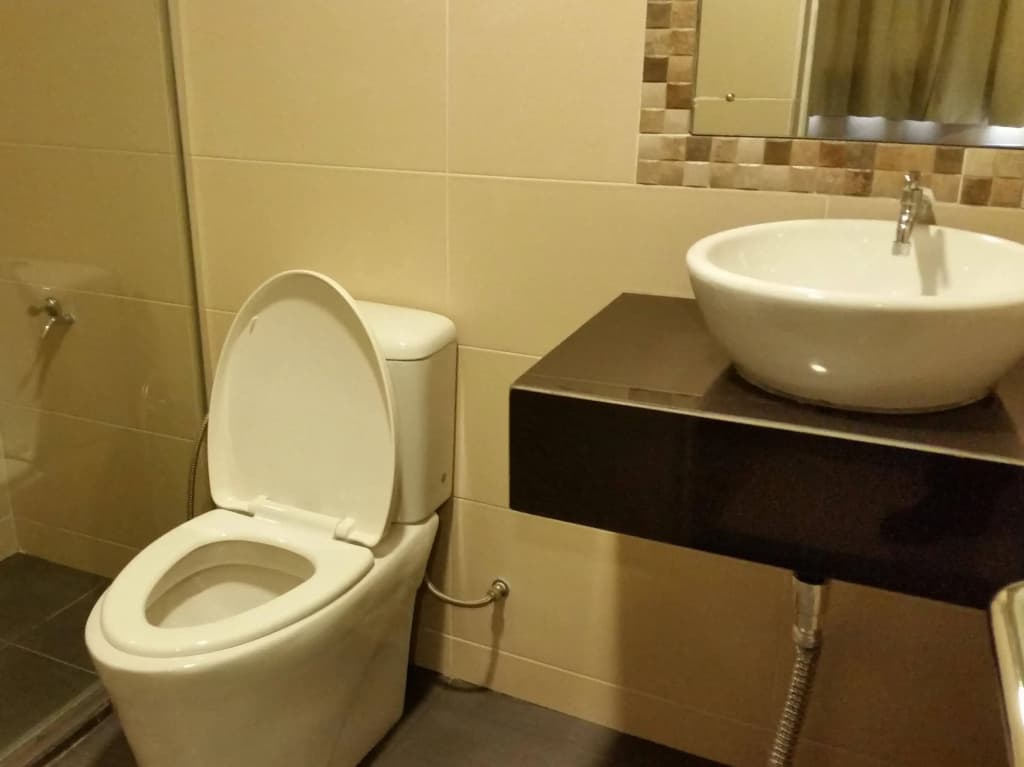 Sri Iskandar Hotel - photo 7