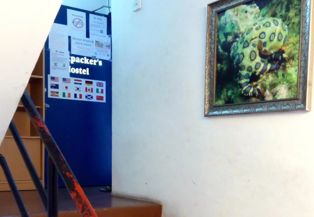 Backpacker's Freak Hostel - photo 13