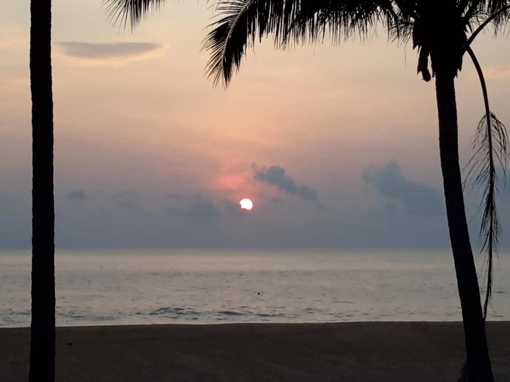 Tamara Resort - photo 5