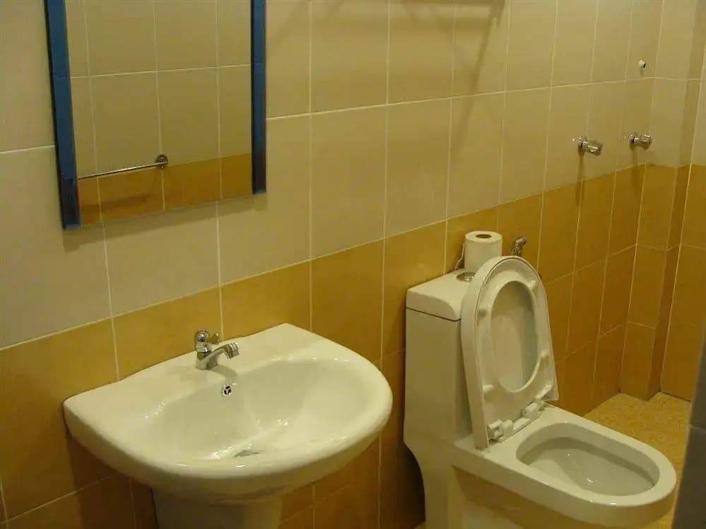 White House Homestay - photo 9